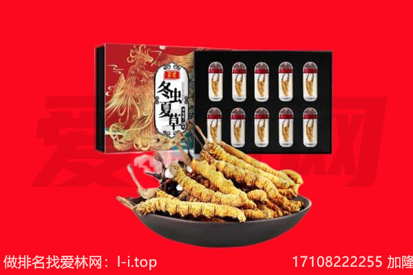 湘西永顺县回收虫草.jpg